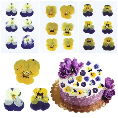 Getrocknete Blumen-Mix, 18 Stück, 6 Sorten, für Deko & Basteln