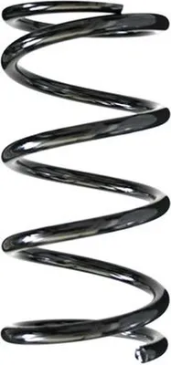 Produktbild von SPIDAN Fahrwerksfeder Hinten für TOYOTA RAV 4 I (SXA1) 49367
