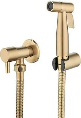 A gold-colored bidet sprayer and wall mount are shown against a white background.