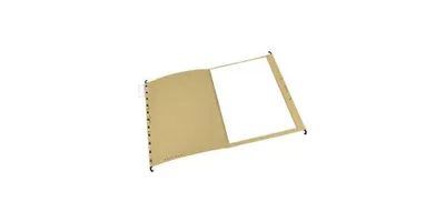 Produktbild von ELBA Hängemappe vertic ULTIMATE 100331249 DIN A4 Karton naturbraun
