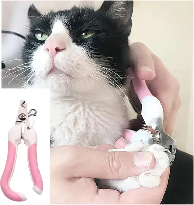 Produktbild von Nagelscheren - Nagelknipser - Nagelscheren für Tiere - Tiernägel - Katzennägel - Hundenägel - Haustierpflege