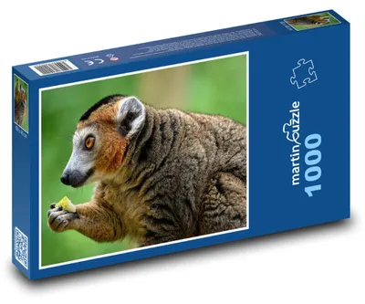 Obrázok produktu pre Puzzle 1000 Lemur s chutným úlovkom - martinpuzzle