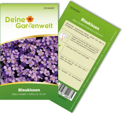 Produktbild von Blaukissen Violett Samen - Aubrieta cultorum - Blaukissensamen - Blumensamen - Saatgut für 100 Pflanzen