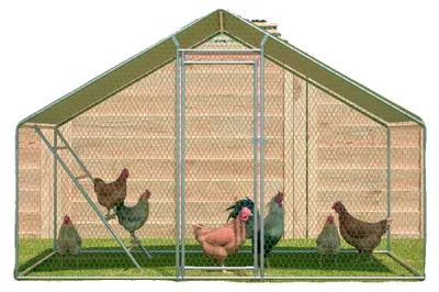 Imagen del producto de Gallinero, cierre de seguridad, cubierta impermeable, gallinero de 3x2 metros con escalera