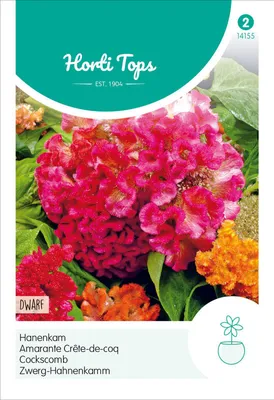Produktbild von Zwerg-Hahnenkamm Mischung | Blumensamen von Hortitops