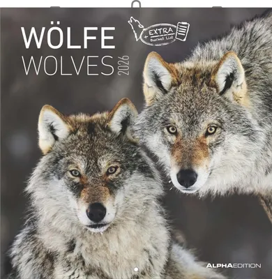 Produktbild von Wölfe 2026 - Broschürenkalender 30x30 cm (30x60 geöffnet)