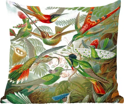 Produktbild von MuchoWow® Zierkissen Sofakissen Wohnzimmer Dekokissen 50x50 cm Trochilidae - Ernst Haeckel - Vogel - Komfort - Sofakissen