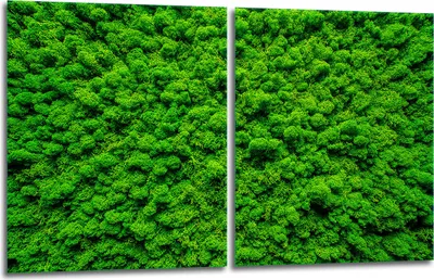 Produktbild von Herdabdeckplatten 2x40x52 Glaskeramikkochfeld 2-Teilig Glas Spritzschutz Grün