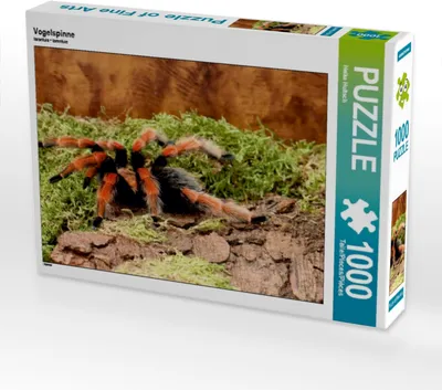 Produktbild von Calvendo Vogelspinne 1000 Teile Puzzle quer 640x480mm, Hultsch Heike; 7288196