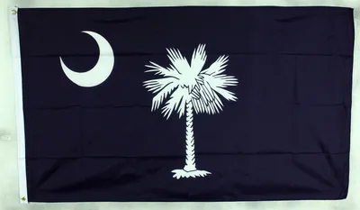 Produktbild von Flagge Fahne : South Carolina