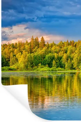 Produktbild von MuchoWow® Wandtattoo Wandsticker Wandaufkleber Wasser - Natur - Wald 80x120 cm Selbstklebend und Repositionierbar - Repositionierbar - Wasser abweisend