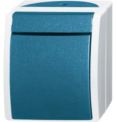 Produktbild von Busch-Jaeger Wipptaster, 2621W-53, 1-polig, 1 Schließer, mit N-Klemme, ocean grau/blaugrün, 1 Stk.