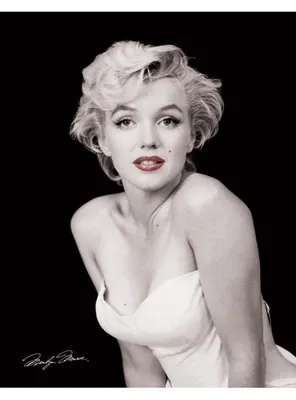 Produktbild von Pyramid International MPP50204, 1 Stück(e), Marilyn Monroe, Rechteck