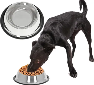Immagine prodotto di Aga Ciotola in acciaio inossidabile per cane e gatto 22 cm