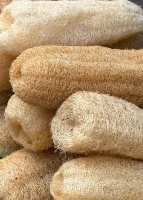 Zdjęcie produktu dla Gąbka Loofah