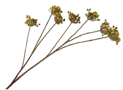 Produktbild von Silk-ka Kunstblume – Seidenblumen-Beerenzweig, grün, 106 cm
