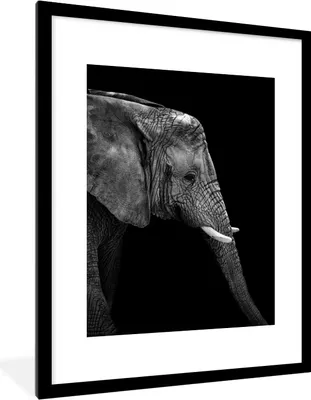 Produktbild von MuchoWow® Gerahmtes Poster Elefant - Schwarz und weiß - Porträt - Tiere 60x80 cm - Poster mit Schwarzem Bilderrahmen Wandposter Rahmen Foto Bilder - Wohnzimmer - Dekorationen - Prämie
