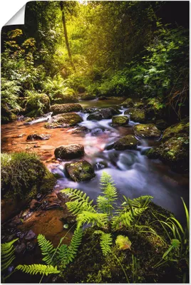 Produktbild von ARTland Poster Wildbach im Wald Größe: 20x30 cm