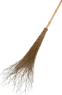 Produktbild von Floraworld Reisigbesen mit Stiel 25 cm Arbeitsbreite