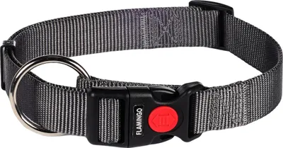 Produktbild von Flamingo Halsband Ziggi dunkelgrau, Größe: L