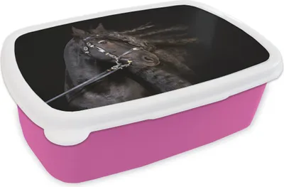 Produktbild von KitchenYeah® Lunchbox Brotzeit Brotdose 17x11 cm Pferd - Halfter - Mähne Kinder Brotzeitdose - Lunchpaket - Brotkasten  - Sandwich Box