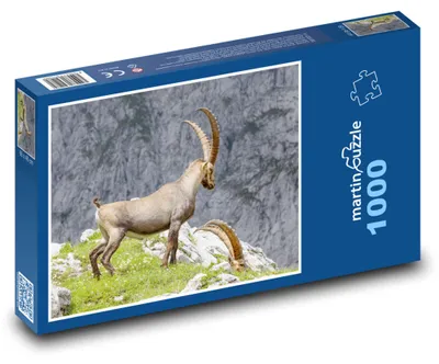 Zdjęcie produktu dla Puzzle 1000 Koziorożec na skalistej górze - martinpuzzle