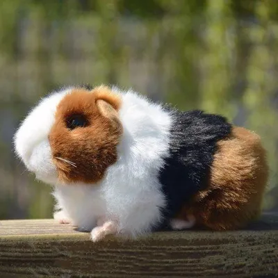 Productafbeelding van Zachte Pluche Cavia 18 cm - Schattige Knuffel voor Kinderen - Perfect Cadeau en Decoratie
