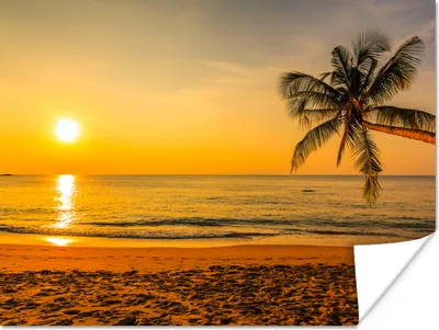 Produktbild von MuchoWow® Poster Palme - Strand - Sonnenuntergang - Meer 160x120 cm - Foto Plakat