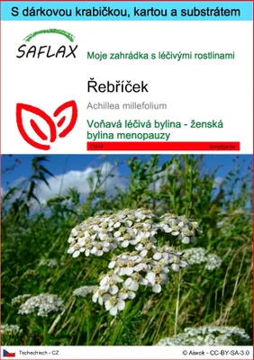 Obrázek produktu pro SAFLAX Dárková sada - řebříček - Achillea millefolium - 200 Semena - S dárkovou krabičkou, přepravním štítkem, dárkovou kartou a pěstebním médiem