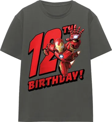 Obrázek produktu pro Iron Man - dámské tričko, 12. narozeniny TV25313 (XXL) (černá)