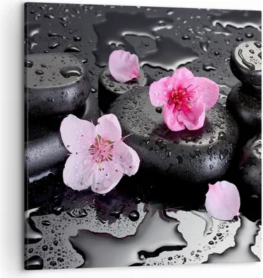 Produktbild von Bild auf Leinwand - Leinwandbild - Blumen Steine Tropfen Spa - 50x50cm - Wand Bild - Wanddeko - Leinwanddruck - Bilder - Kunstdruck - Wanddekoration - Leinwand bilder - Wandkunst - AC50x50-2714
