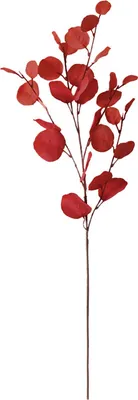 Image de Feuilles d'eucalyptus artificielles, branches d'eucalyptus artificielles, décorations végétales artificielles pour la maison et le bureau