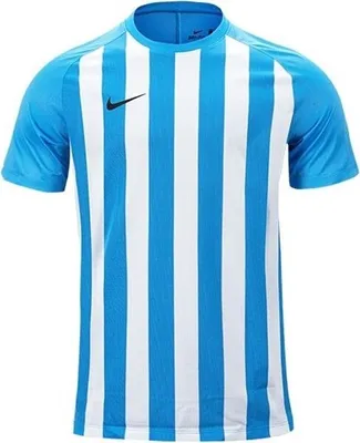 Produktbild von Nike T-shirt Dry Stripped Division Iii, 832976412, Größe: S