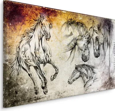 Produktbild von Fabelhafte Canvas LEINWAND BILDER 90x60 cm XXL Kunstdruck Tiere Pferde Skizziert