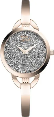 Obrázok produktu pre Dámske hodinky Pierre Ricaud P22042.9104Q rose gold