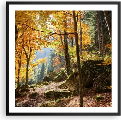Produktbild von Gerahmtes Poster - Schwarzer Rahmen - Herbst berg wald natur - 60x60 cm - Wand Bild - Wanddeko - Wandbilder - Kunstposter - Wandposter - Bilderrahmen - Bilder - Kunstdruck - Wandbild - P2BAC60x60-2713
