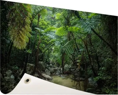 Produktbild von Gartenposter - 60x40 cm - Fluss im tropischen Dschungel  - Modernes Wandbilder - Natur