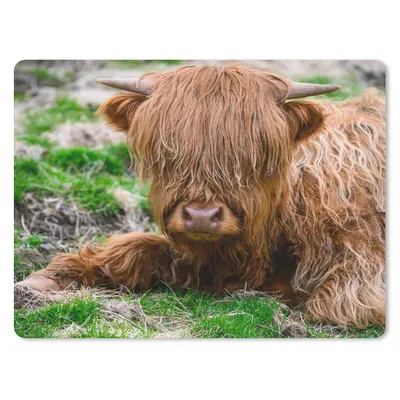 Produktbild von MuchoWow® Mauspad Mousepad Schottischer Highlander - Heu - Gras 40x30 cm - Mousepads - Maus Mat - Pad - Mausunterlage - Anti Rutsch