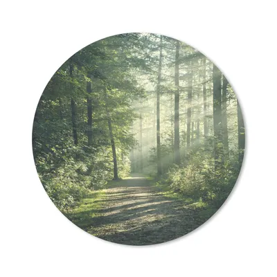 Produktbild von MuchoWow® Mauspad Mousepad Wald - Weg - Sonne - Bäume - Grün - Natur 50x50 cm - Mousepads - Maus Mat - Pad - Mausunterlage - Vinyl