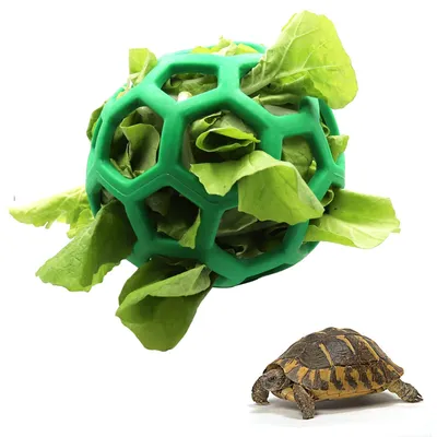 Immagine prodotto di Palla per snack per tartarughe, giocattolo, palla per fieno, con ganci per appenderla