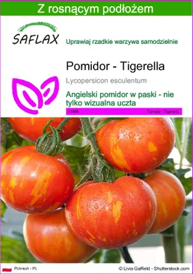 Zdjęcie produktu dla SAFLAX - Pomidor - Tigerella - 10 Nasiona - Z podłożem uprawowym wolnym od zarazków - Lycopersicon esculentum