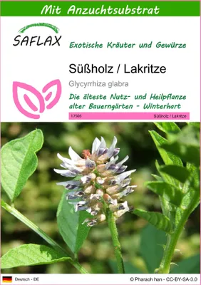 Produktbild von SAFLAX - Süßholz / Lakritze - Glycyrrhiza glabra - 30 Samen - Mit keimfreiem Anzuchtsubstrat