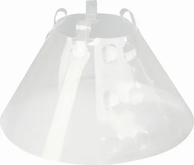 Immagine prodotto di Collare per cani KVP Quick Fit Trasparente