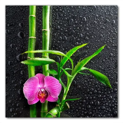 Produktbild von Wallario selbstklebende Möbelfolie/ Tischdecke für Innen und Außen, Größe: 80 x 80 cm - Bambus und pinke Orchidee auf schwarzem Glas mit Regentropfen
