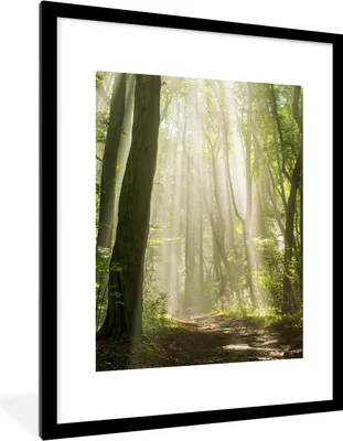 Produktbild von MuchoWow® Gerahmtes Poster Wald - Licht - Natur - Landschaft 60x80 cm - Poster mit Schwarzem Bilderrahmen Wandposter Rahmen Foto Bilder - Wohnzimmer - Dekorationen - Prämie