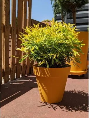 Obrázok produktu pre Okrúhly kvetinový box RIVIERA SOLEILLA Plastový priemer 60 cm Žltý