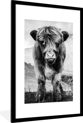 Produktbild von MuchoWow® Gerahmtes Poster Schottischer Highlander - Berg - Schwarz - Weiß 60x90 cm - Poster mit Schwarzem Bilderrahmen Wandposter Rahmen Foto Bilder - Dekoration - Wandposter Wohnzimmer - Hochwertig