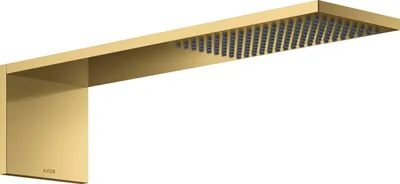 Produktbild von Kopfbrausemodul AXOR ShowerComposition 110 / 220, 1 jet polished gold optic polished gold optic