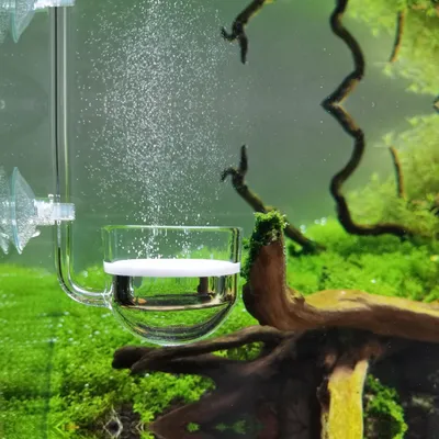 Immagine prodotto di Diffusore di CO2 per piante acquatiche, con diametro di 30 mm