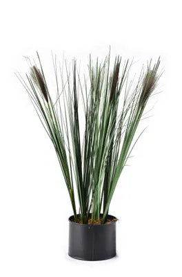 Produktbild von Künstliche Blume GRASS 54 cm grün
